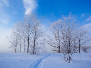 Fototapeta na wymiar 北海道の冬道