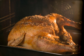 Cooking chicken in the oven