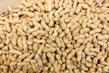 Piles of roasted peanuts