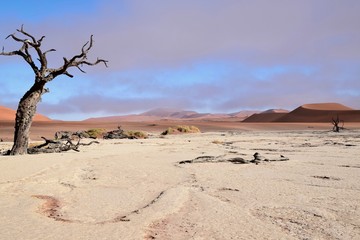 Namibia Dürre - Wüste - Fernsicht 