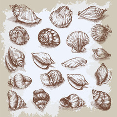 Seashells big set hand drawn vector graphic vintage etching sketch, underwater artistic marine ornament, design for card, wallpaper, decorative texture, wrapping paper