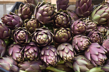group of fresh and organic Artichoke displayed for sale in a country fair
