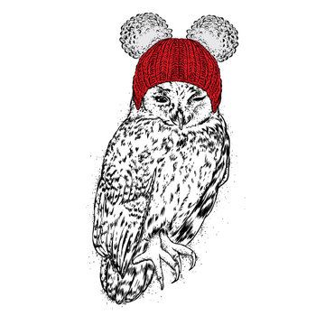 Funny owl in a winter hat. Vector illustration. Bird in clothes.