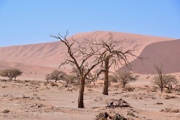 Fototapeta na wymiar Landschaft Namibia -Wüste