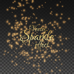 Fototapeta na wymiar Vector sparkle light effect on a transparent background.