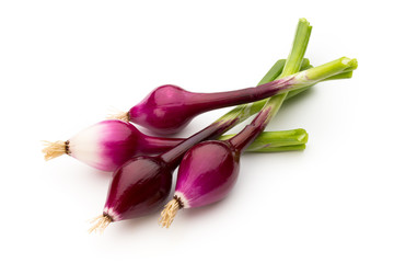 Fototapeta premium Green onion isolated on the white background.