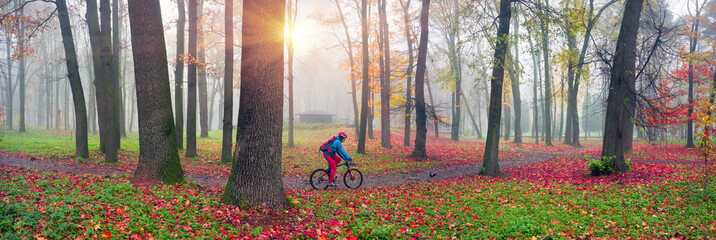 cyclist and squirrel © panaramka