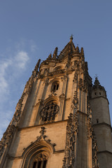 Fototapeta na wymiar Cathedral of San Salvador, Oviedo