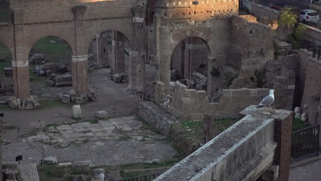 Video of The ancient Roman Forums during the sunset. Rome, Italy.