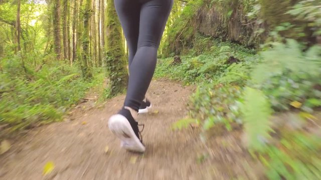 Tracking Shot Of Sporty Woman Running On Forest Trail
