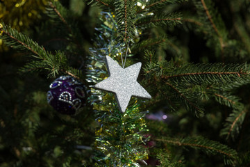Addobbi natalizio, stella di Natale