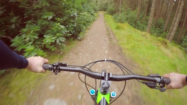 Pov Shot Of Mountain Biker Riding Bicycle In Forest