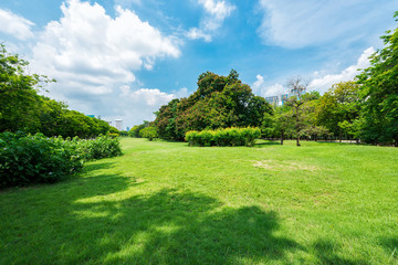 Green grass field in park at city center with business buildings in Bangkok, Thailand