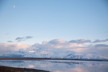 Obraz premium argentinian patagonia calafate