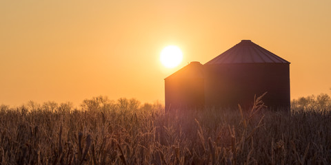 Sunrise over frost covered Corn Fields and Silos