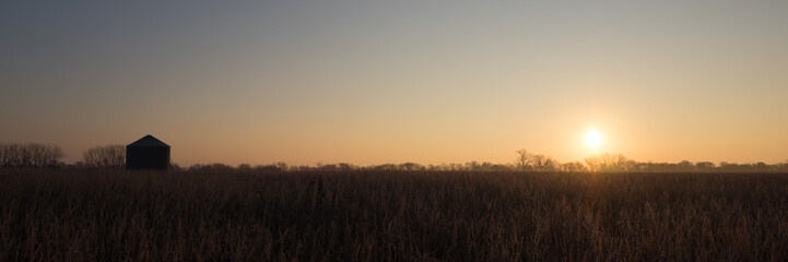 Sunrise over frost covered cornfield