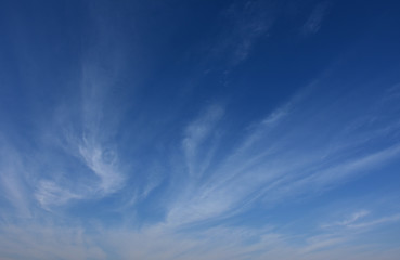 Fototapeta na wymiar 青空と雲「雲の風景」（ギョロ目、幼い命、命の輝き、ゆるやかな流れなどのイメージ）
