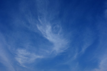 青空と雲「空想・雲のモンスター（モンスターの子供が現れるようなイメージ）」（産声を上げる、生まれる、生誕、誕生する、現れるなどのイメージ）