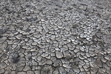 Trockenheit