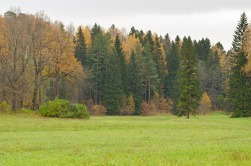 Fototapeta premium The natural landscape in autumn.