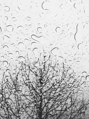 Processed with VSCO with x1 preset