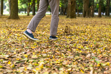 秋の公園を歩く男性