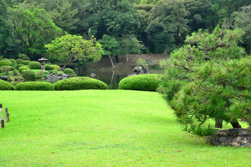 六義園 日本庭園 芝生と松