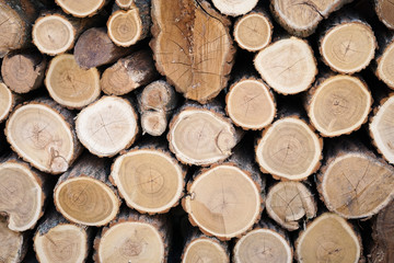 Pile of wood