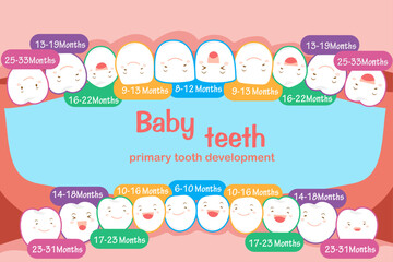 baby tooth chart