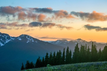 Olympic National Park sunset