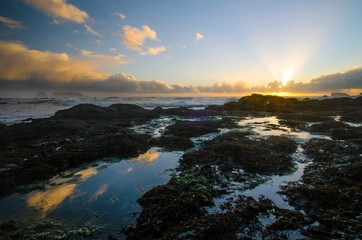 Olympic national park sunset