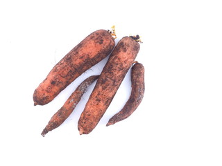 dirty carrots on a white background