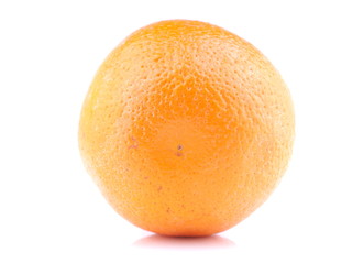orange on white background