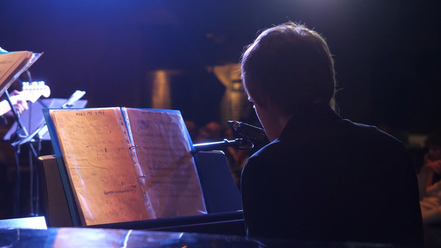 Handsome Young Man Making Piano Music, Back View. Back View Of Music Performer Playing Piano At Luxury Hotel