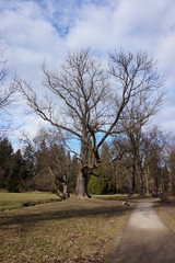 5.3.2017 The Průhonice Chateau near Prague's capital city in the Czech Republic and its surroundings with a park