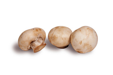 Three champignons on a white background