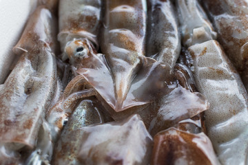 Fresh fish, shellfish, seafood in Cambrils Harbor Market, Catalonia, Spain.