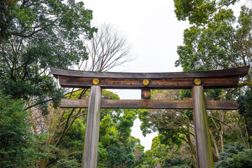 The Wooden torii gate of Meiji Jingu Shrine