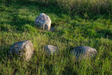 Rock on the wetlands