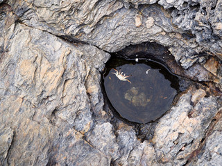 Natural hole on the rock on beach