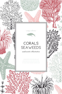 Vector frame with hand drawn sea corals, fish, stars sketch. Vintage background with underwater natural elements. Decorative sealife illustration isolated on white. Wedding design.