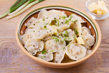 Dumplings, filled with meat, ravioli. Traditional Russian dish pelmeni. Dumplings with filling horizontal