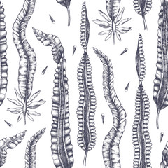 Ink hand drawn laminaria background. Vector illustration of highly detailed brown algae. Seaweedsseamless pattern