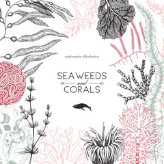 Vector frame with hand drawn sea corals, fish, stars sketch. Vintage background with underwater natural elements. Decorative sealife illustration isolated on white. Wedding design.