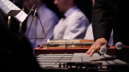 Close up of the musician playing on xylophone. Xylophone, music and chromatic instrument concept -...