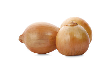 onions isolated