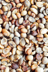 Coffee beans