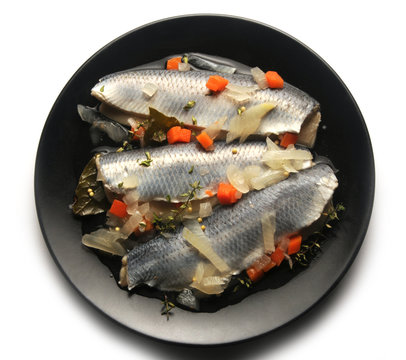 Clupea harengus S&iacute;ld Śledź Silli oceaniczny Aringa Hering Arenque Hareng Cuisine marinata Sill Cocina Herring Sleď Cucina obecn&yacute; מליח אטלנטי
