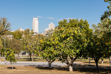Square Spain seen from the other side of the Manzanares River