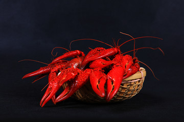 Crawfish